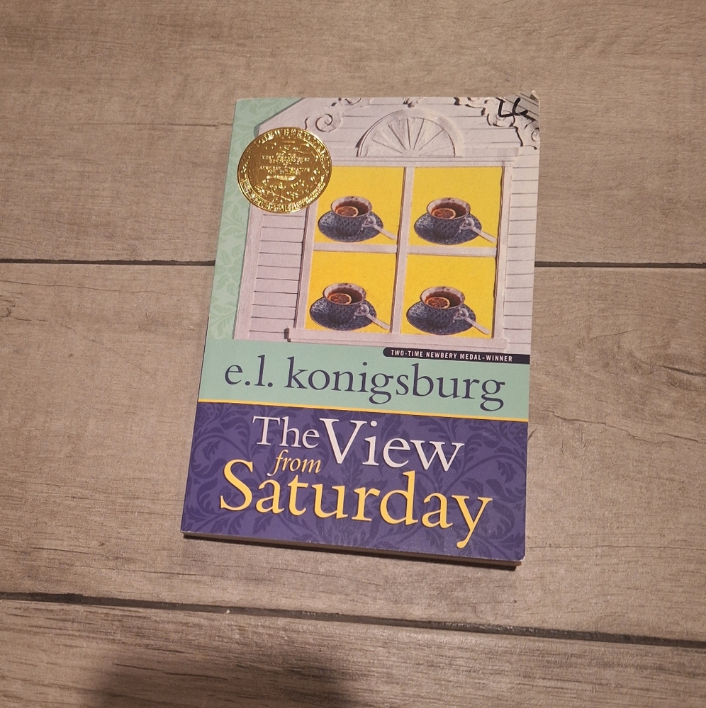 🥠The View from Saturday paperback☃️